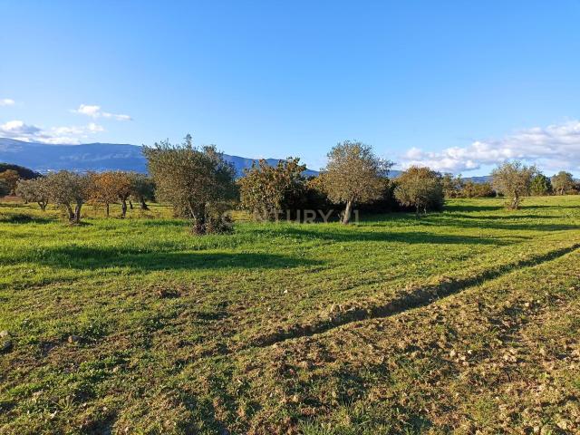 Terreno Rústico em Peraboa, Covilhã