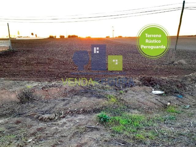 Terreno Rústico em Peroguarda com 2,8 ha | Potencial de Construção