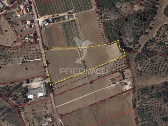 Terreno Rústico em Pernes – Santarém | 27 440,00 m²