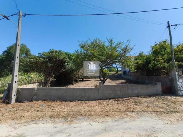 Terreno rústico, em Quinta da Caneira, A SER VENDIDO SOMENTE A CO PROPRIETÁRIO