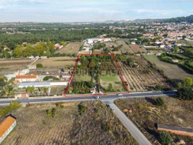 Terreno Rústico em Quinta do Anjo, Palmela 11.800m2