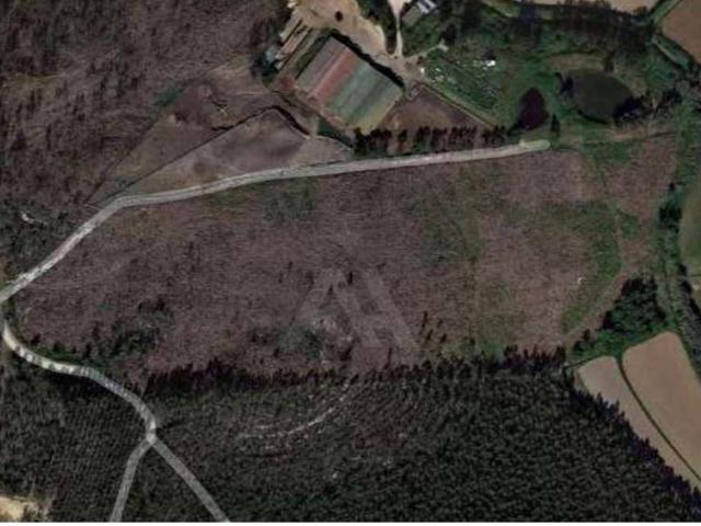 Terreno Rústico em Ramalhal a 10 minutos de Torres Vedras