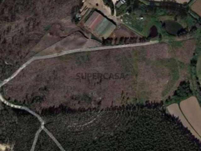 Terreno Rústico em Ramalhal a 10 minutos de Torres Vedras