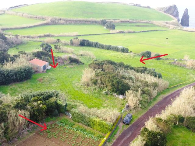 Terreno Rústico em Ribeira Grande com Jardim e Árvores Antigas