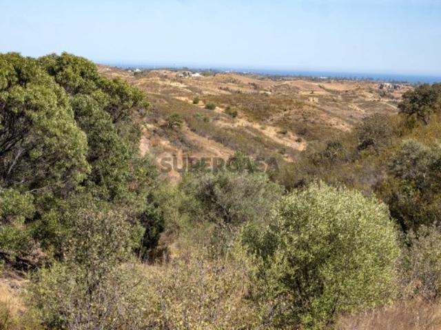 Terreno rústico com 2600 m2 em Tavira
