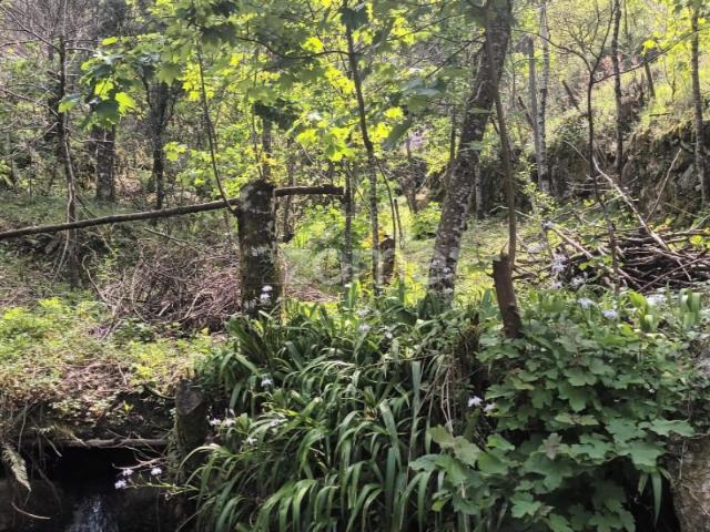 Terreno Rustico em Vieira do Minho