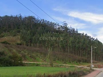 Terreno Rústico em Vilar, Cadaval – A Natureza às Portas de Lisboa