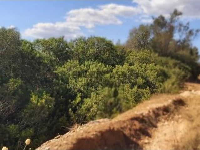 Terreno rústico, em zona agrícola, Ribeira de Alte, Paderne, Albufeira, Algarve