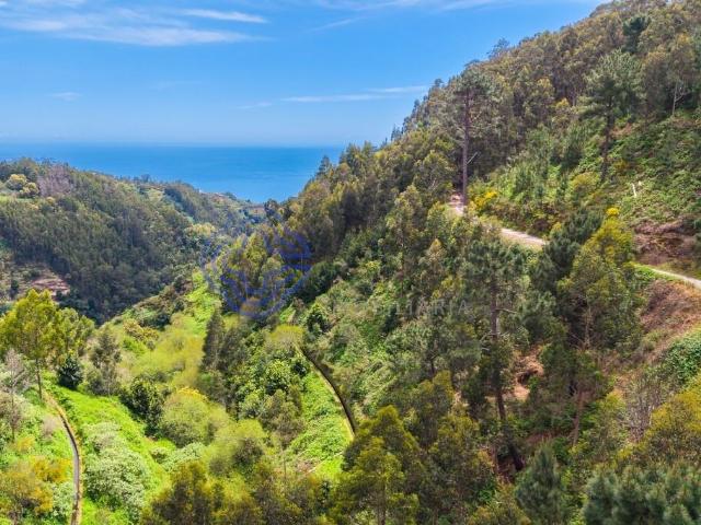 Terreno Rústico em Zona Natural e Agrícola — Freguesia de Santa Cruz, Madeira