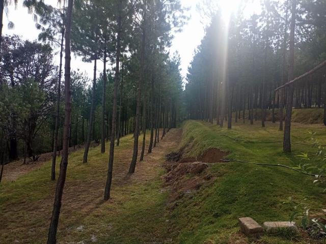 TERRENO RUSTICO, EN LOMA DE LA CHIVERA, VILLA DEL CARBON
