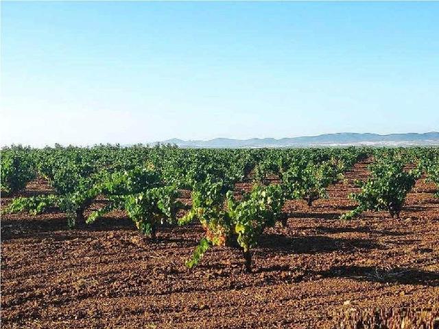 Terreno rústico en venta en valdelasierpe