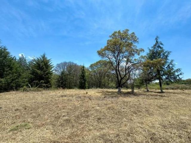 TERRENO RUSTICO EN VENTA, EN VILLA DEL CARBON