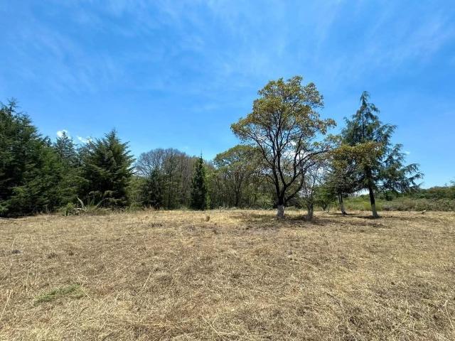 TERRENO RUSTICO EN VENTA, EN VILLA DEL CARBON