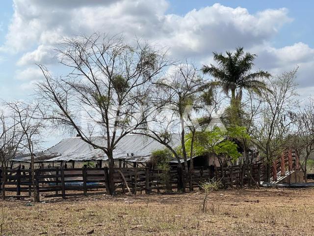 Terreno Rustico en Venta, El Cepillo Panuco
