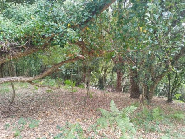 Terreno Rustico Estrada dos Capuchos