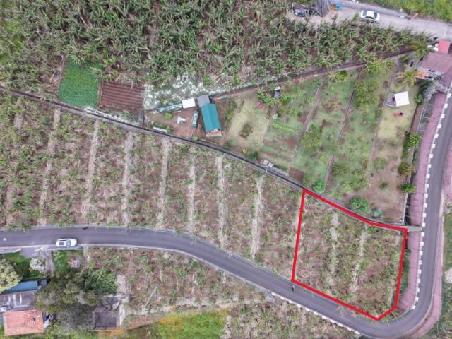 Terreno Rústico Exclusivo com 580 m² no Arco da Calheta Vista Mar e Localização Premium