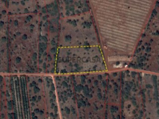 Terreno Rústico exelente para paineis solares ou explorações agriculas em Barrocal