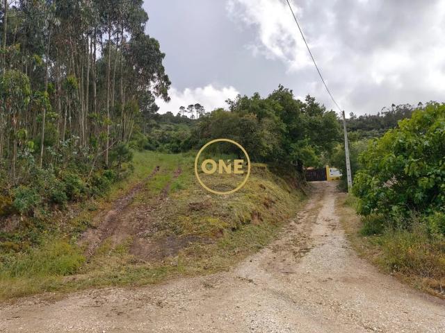 Terreno Rústico Florestal, no Gradil, concelho de Mafra