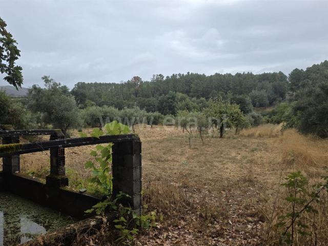 Terreno Rústico / Fundão, Souto da Casa