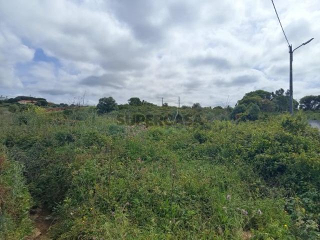 Terreno Rústico com 10.530m em Murtais Mafra