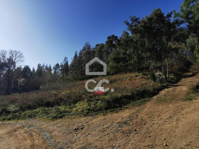 Terreno Rústico, Idães, Felgueiras