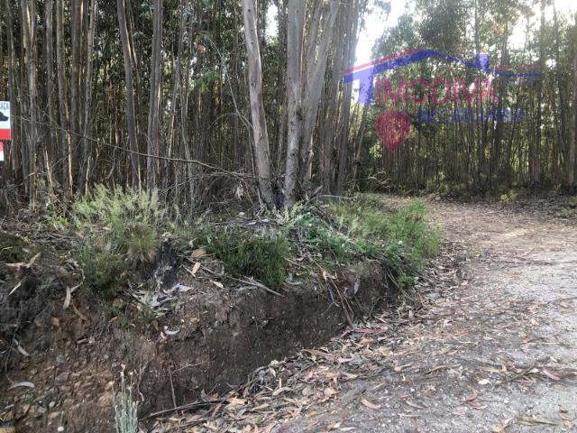 Terreno rústico junto a parque industrial de Figueiró dos Vinhos