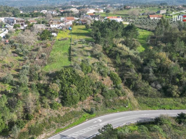 Terreno Rústico junto da estrada N113, Sobral, Santa Catarina da Serra