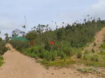 Saboia, Odemira, Distrito de Beja