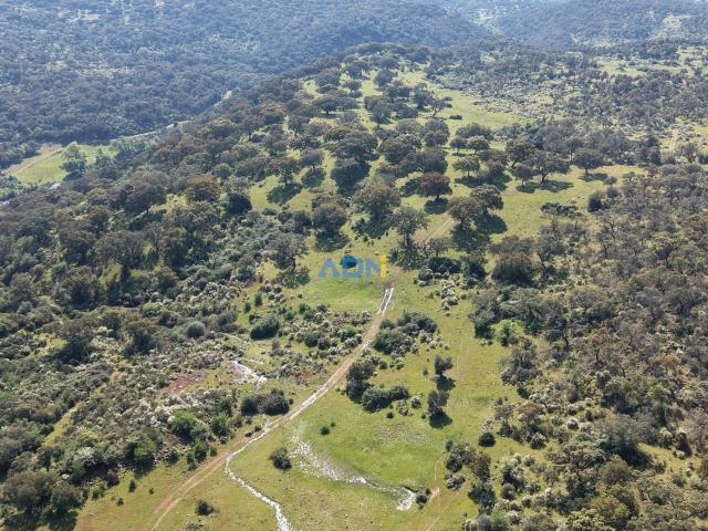 Terreno Rustico Lousa Castelo Branco