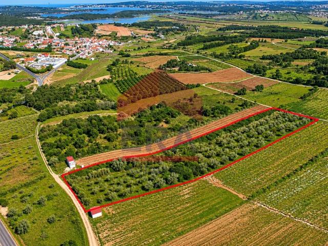 Terreno rústico localizado em Vau Óbidos