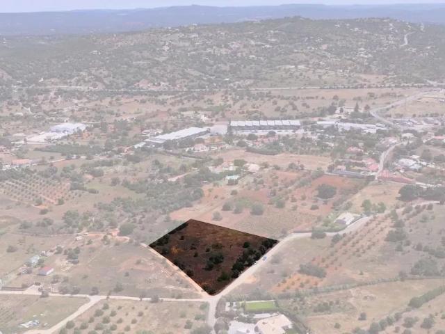 Terreno rústico localizado em Cortesões Tunes, com uma área total de 7320m²