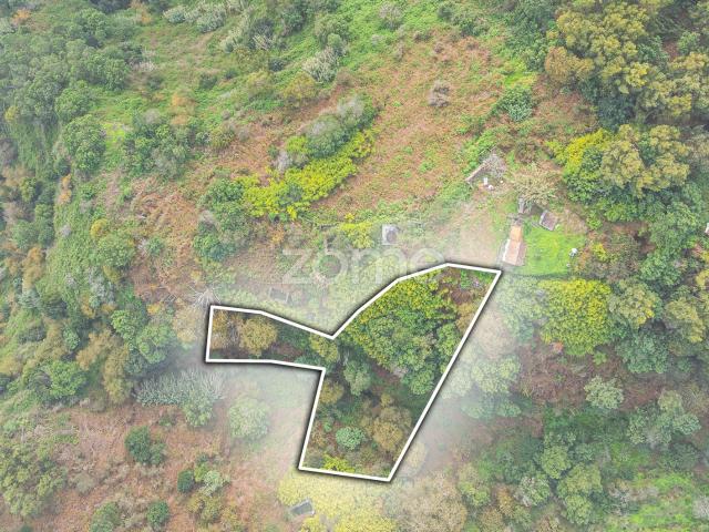 Terreno Rustico localizado em Santa Cruz