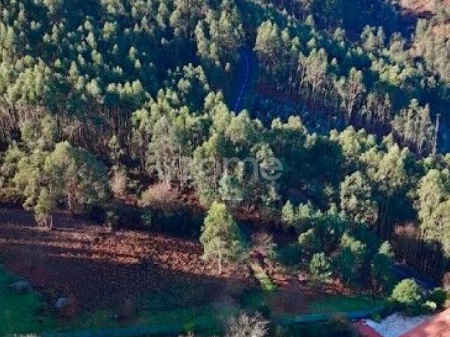 Terreno rústico localizado na Póvoa de Lanhoso
