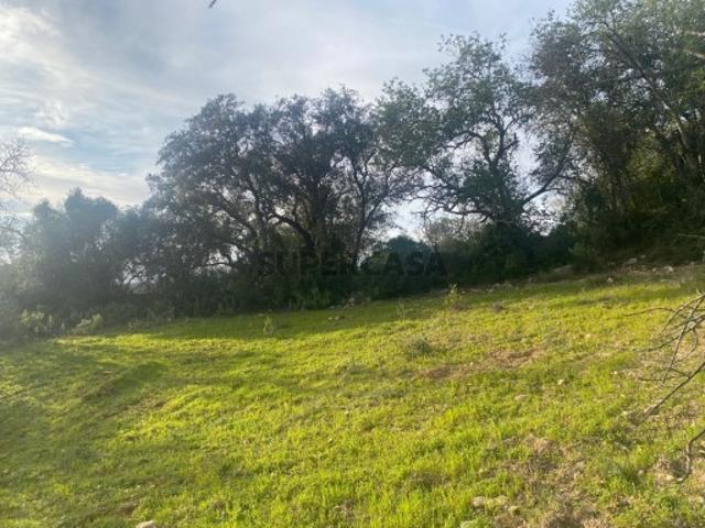 Terreno rústico localizado no Poral com 400m2, Loulé, Algarve