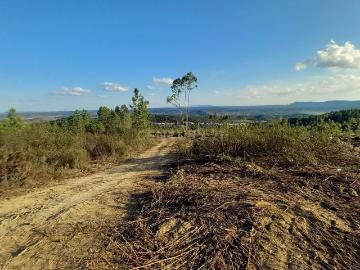 Terreno Rustico Monte Gordo Sarzedas