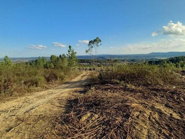 Terreno Rustico Monte Gordo Sarzedas