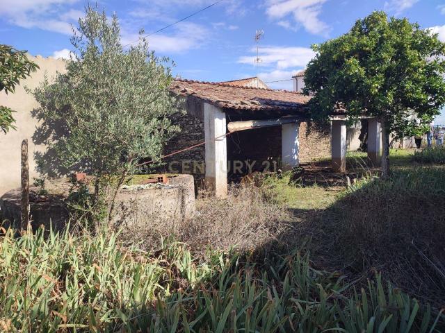 Terreno rústico, Monte Fidalgo, Vila Velha de Ródão