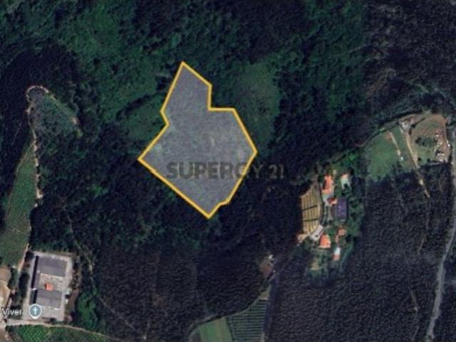 Terreno Rústico Mafra Poço da Serra