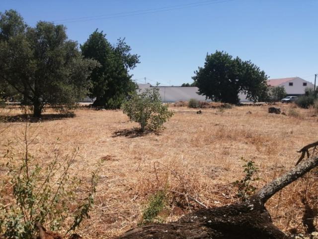 Terreno urbanizável no Concelho de S. Brás de Alportel, Algarve