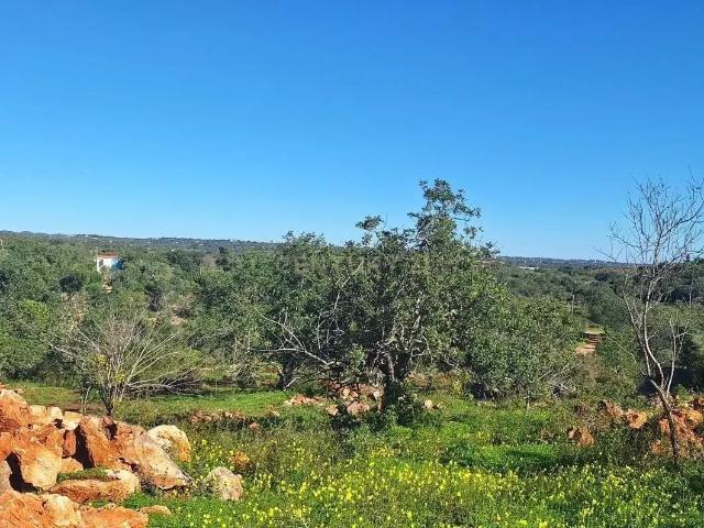 Terreno Rústico no Cerro da Cabeça