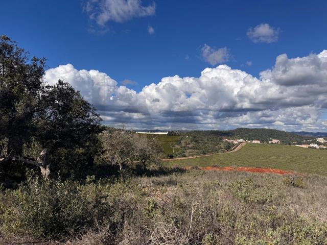 Terreno Rústico no Cerro das Taipas, São Bartolomeu de Messines com 5.120 m²