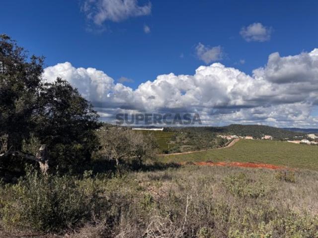 Terreno Rústico no Cerro das Taipas, São Bartolomeu de Messines com 5.120 m²