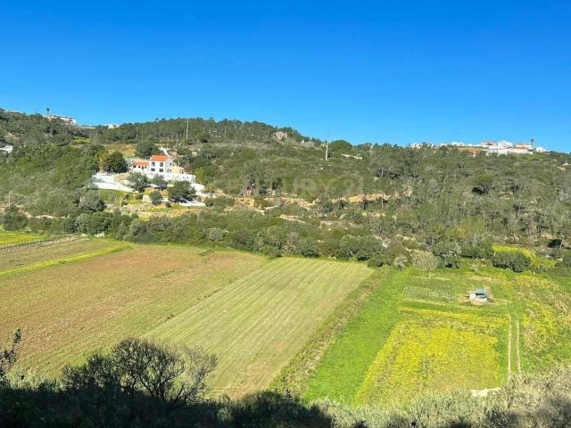 Terreno Rústico no Lameirão em Malpica do Tejo, Castelo Branco