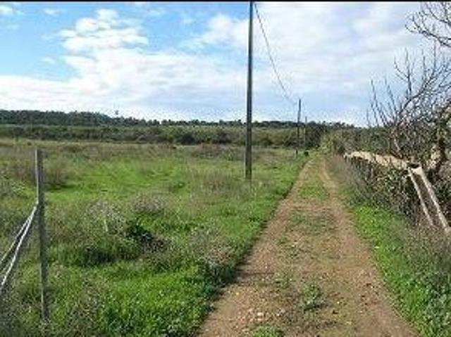 Terreno Rústico no Ludo, Almancil – 8.400 m² Próximo da Quinta do Lago