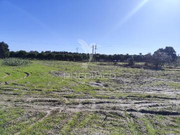 Terreno Rustico na Aldeia do Futuro