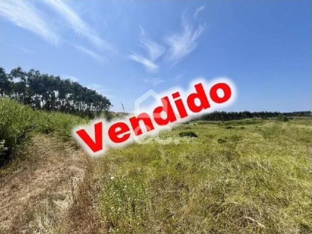Terreno rústico na estrada Atlântica