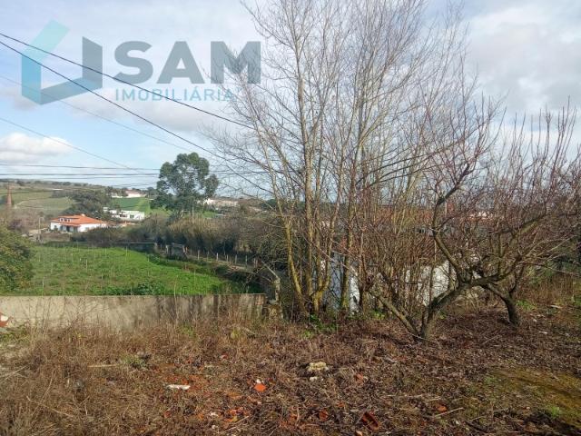Terreno com Casa de habitação na Merceana