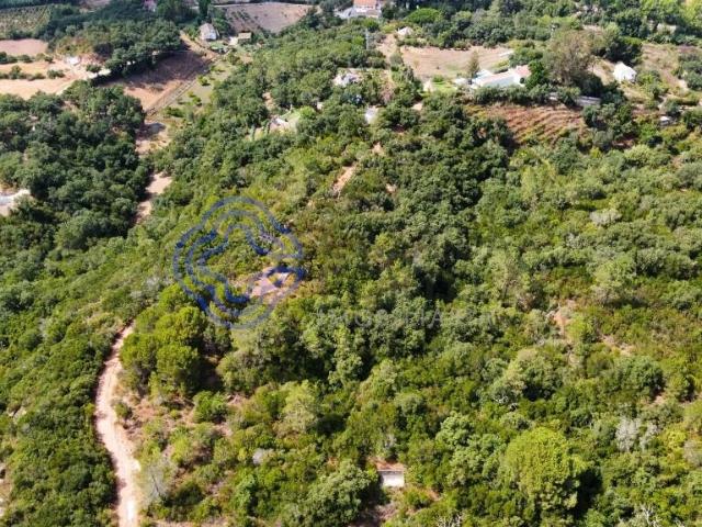 Terreno Rústico na Serra da Arrábida — Picheleiros, Azeitão | 1,175 ha | 70.000 €