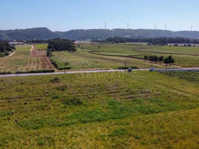 Terreno rústico na Roliça, Bombarral