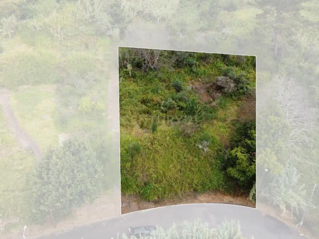 Terreno Rústico nas Faias, Arco da Calheta Oportunidade Única!